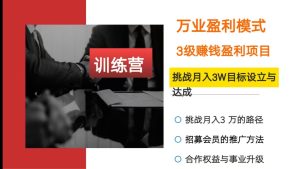 挑战月入3W目标训练营-网创资源