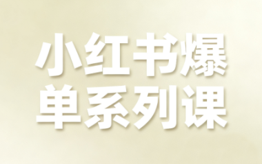 尼采老师·小红书爆单系列课-网创资源