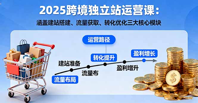 2025跨境独立站运营课：涵盖建站搭建、流量获取、转化优化三大核心模块-网创资源