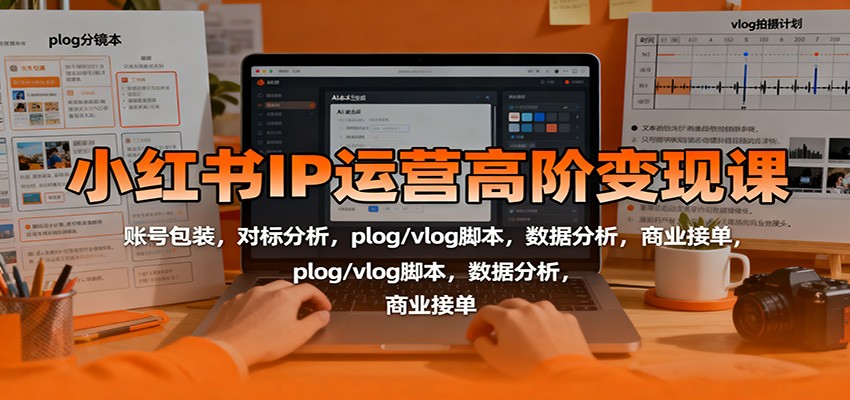 小红书IP运营高阶变现课：账号包装，对标分析，plog/vlog脚本，数据分析，商业接单-网创资源