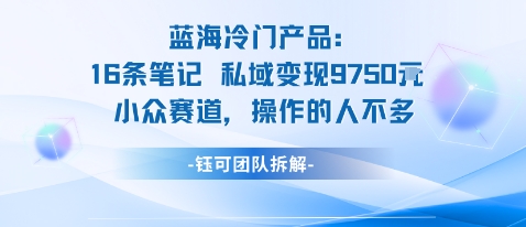 蓝海项目：16条笔记私域变现9750米小众赛道操作的人不多-网创资源