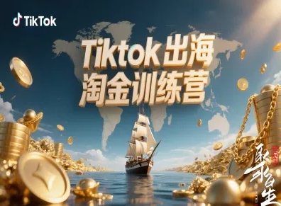 Tiktok出海淘金训练营，跨境电商TK实战变现-网创资源