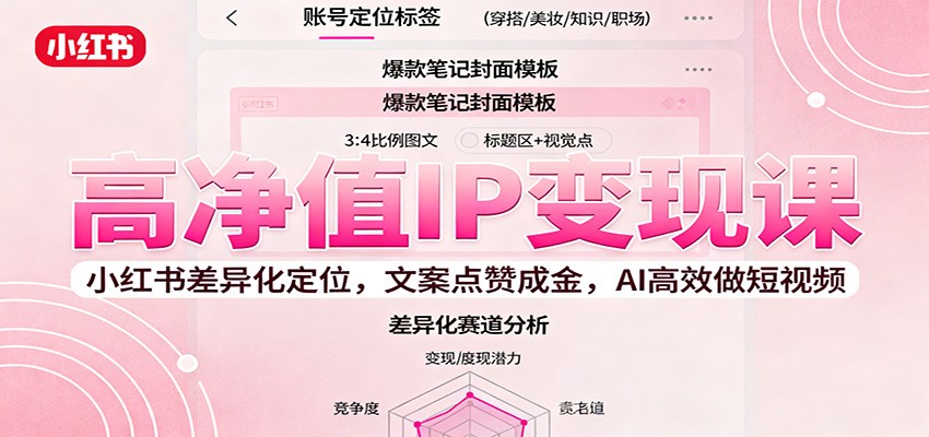 高净值IP变现课：小红书差异化定位，文案点赞成金， AI高效做短视频-网创资源