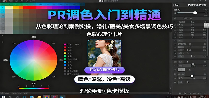PR调色入门到精通：从色彩理论到案例实操，婚礼/医美/美食多场景调色技巧-网创资源