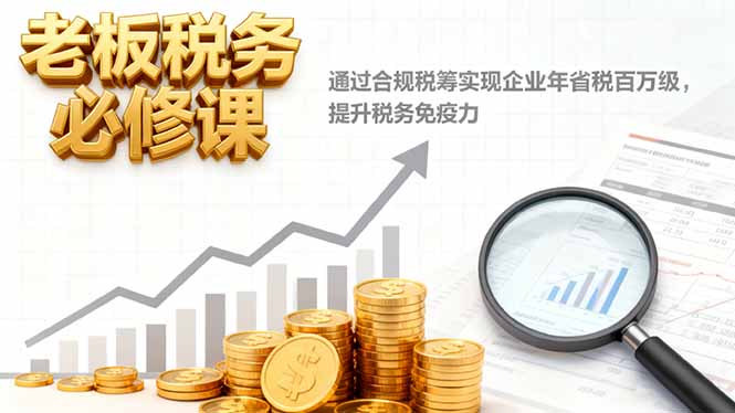 老板税务必修课，通过合规税筹实现企业年省税百万级，提升税务免疫力-网创资源