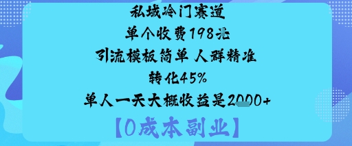 私域冷门赛道:单个收费198米引流模板简单人群精准转化45%单人一天大概收益是1k+-网创资源