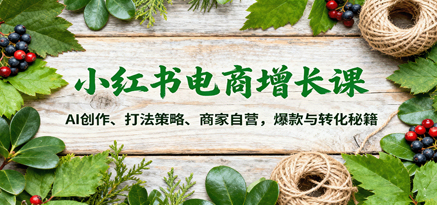 小红书电商增长课：AI创作、打法策略、商家自营，爆款与转化秘籍-网创资源