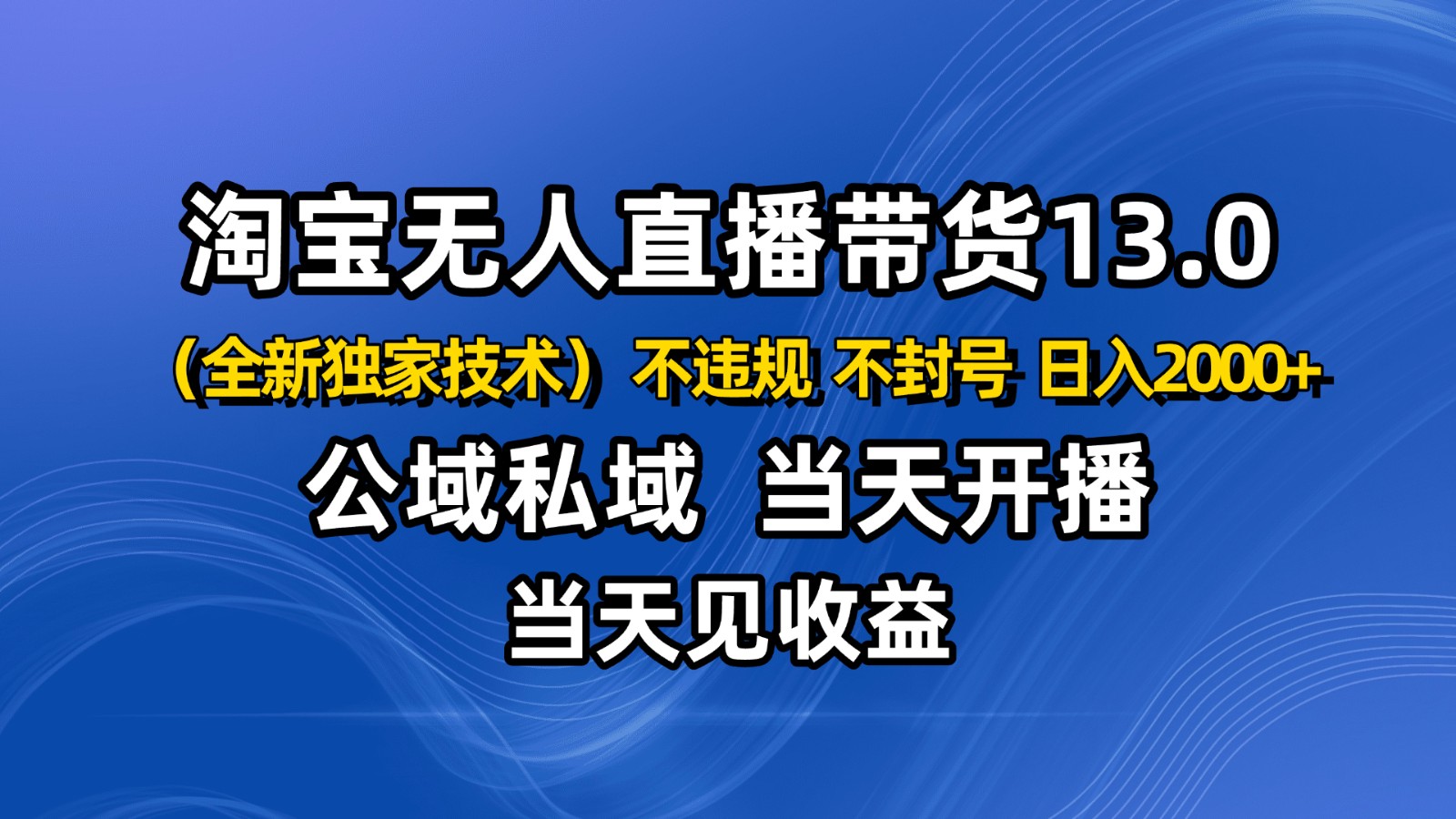 淘宝无人直播13.0，公域私域技术，不封号，不违规 布局下半年旺季赛道，日入2000+-网创资源