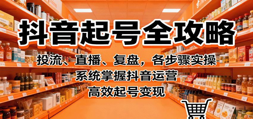 抖音起号全攻略，投流、直播、复盘，各步骤实操，系统掌握抖音运营，高效起号变现-网创资源