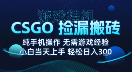 8月最新游戏搬砖，CSGO纯挂G，不需要玩游戏，实现真挂G，月入1W+【揭秘】-网创资源