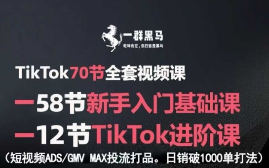 TikTok全套视频课，新手入门+进阶课，短视频ADS-GMV MAX投流打品，日销破1000单打法-网创资源