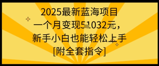 2025最新蓝海项目一个月变现1w+新手小白也能轻松上手【附全套指令】-网创资源