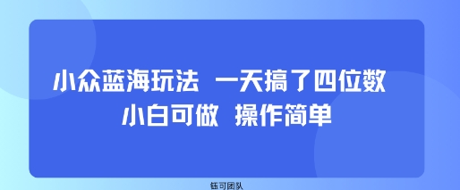 小众蓝海玩法 一天搞了四位数 小白可做 操作简单-网创资源
