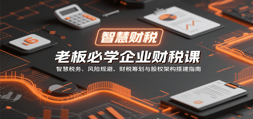 老板必学企业财税课：智慧税务、风险规避、财税筹划与股权架构搭建指南-网创资源