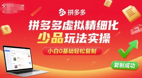 拼多多虚拟精细化少品玩法实操，小白0基础轻松复制-网创资源