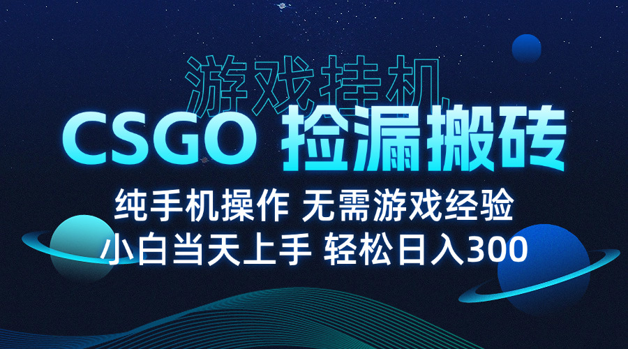 8月最新游戏搬砖，CSGO纯挂机，不需要玩游戏，实现真挂机，月入1W+-网创资源