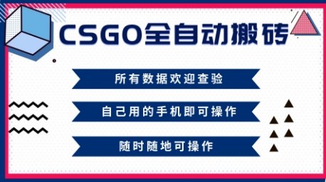 CSGO全自动搬砖，年底钱回家好项目，当天可拿到结果，新手小白轻松月入1W+【揭秘】-网创资源